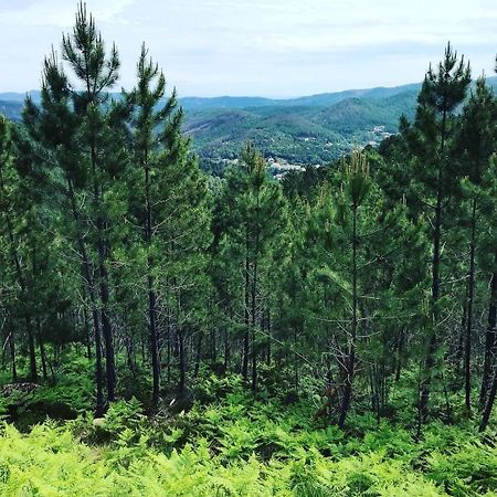 Detente Au Coeur Des Cevennes Besseges Ngoại thất bức ảnh