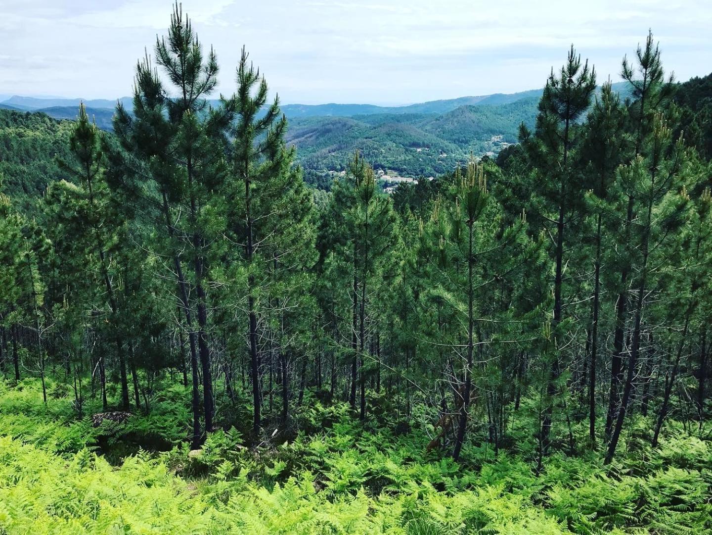 Detente Au Coeur Des Cevennes Besseges Ngoại thất bức ảnh